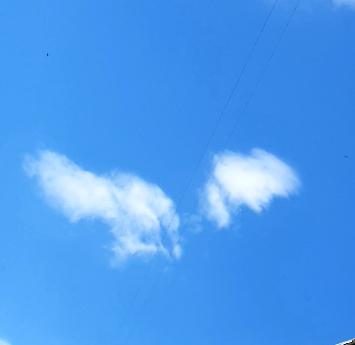 Как умершая дочка о несчастной маме позаботилась | Про Жизнь и Счастье ...