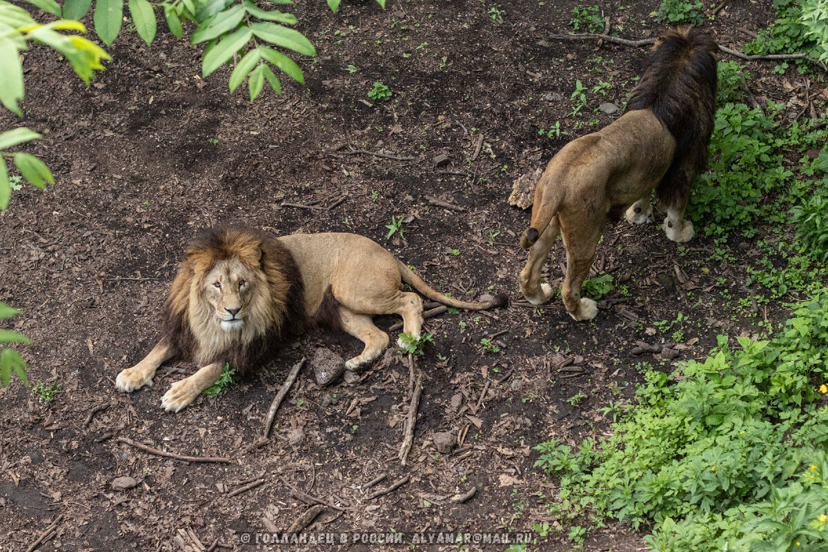 Фото: из личного архива