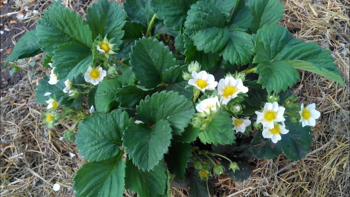 фото взято из открытых источников