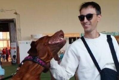    Национальная выставка собак всех пород «Россия. Кубок РКФ 2023» © Пресс-служба Министерства сельского хозяйства и продовольствия Московской области