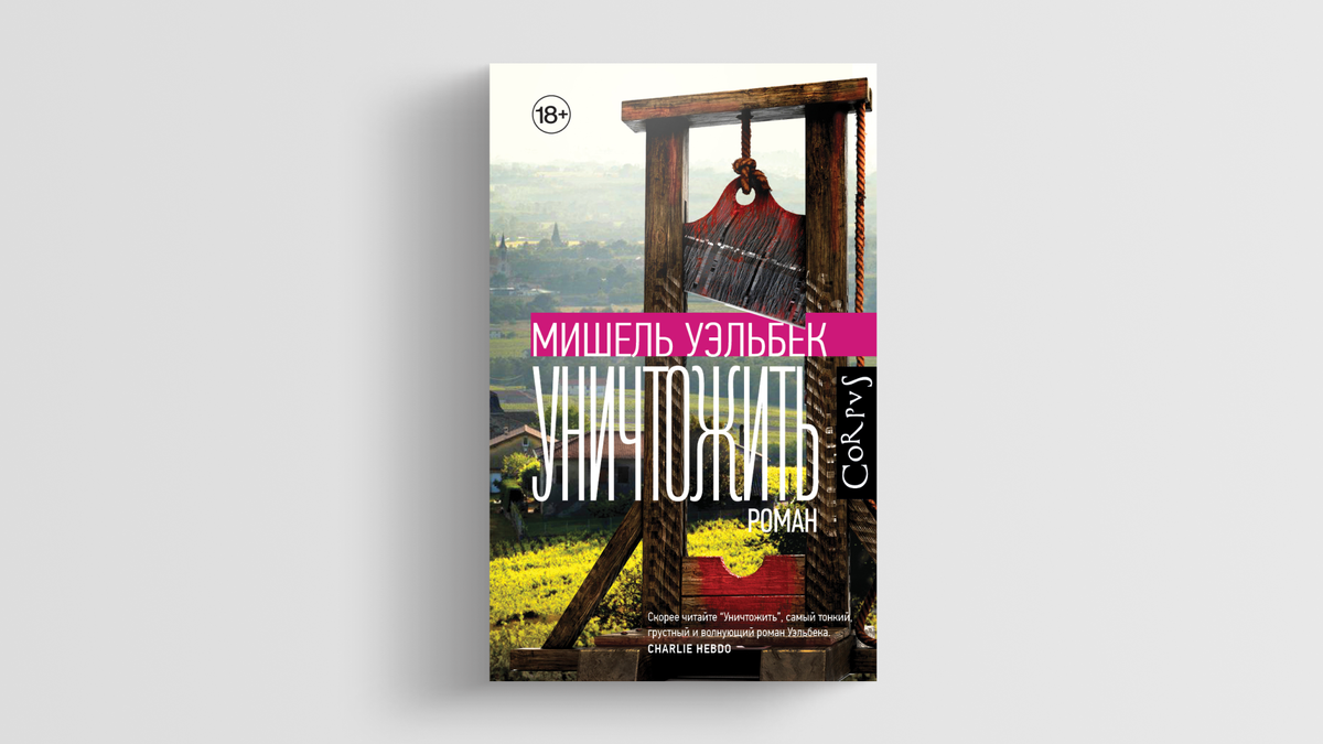 мишель уэльбек портрет. летний день с книгой. мишель уэльбек фото в молодости. новая книга о переводах. мишель уэльбек уничтожить.