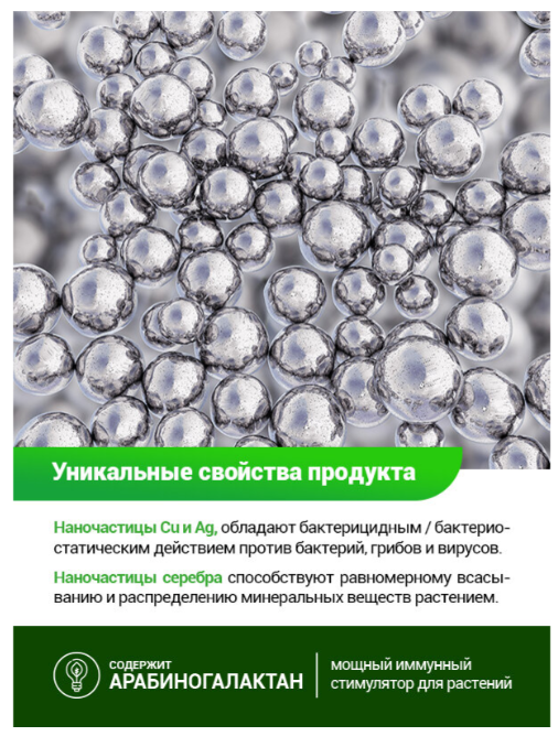 фото из свободного доступа https://yandex.ru/images
