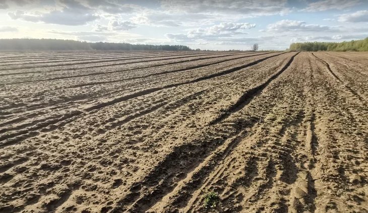    Свыше 668 млн рублей на мелиорацию направит Правительство РФ в регионы