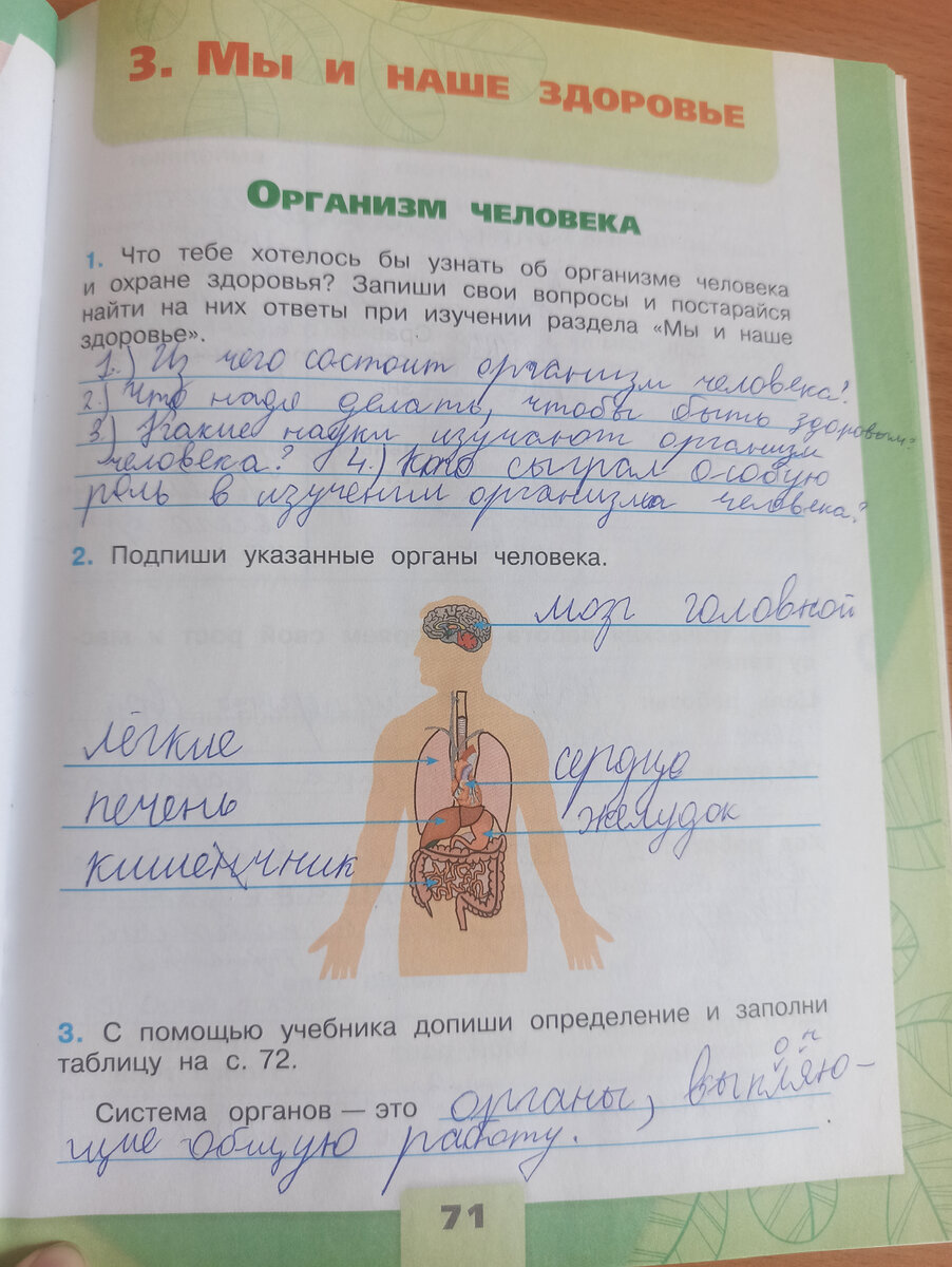 Окружающий мир. Рабочая тетрадь. Класс 3. Часть 1. А. А. Плешаков. | Жизнь  и опыт одной училки | Дзен