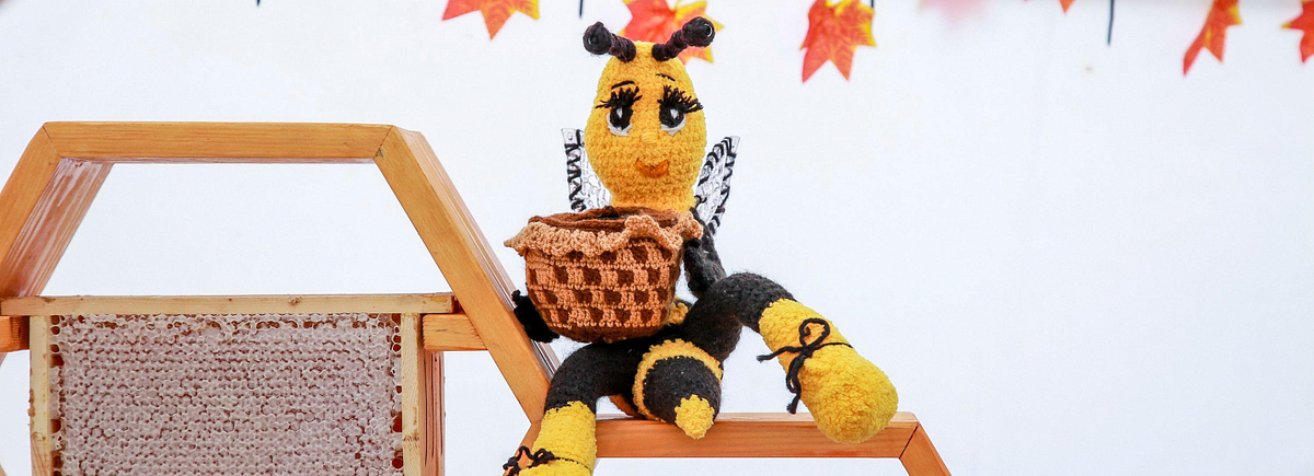 Фото: nsknews.info 