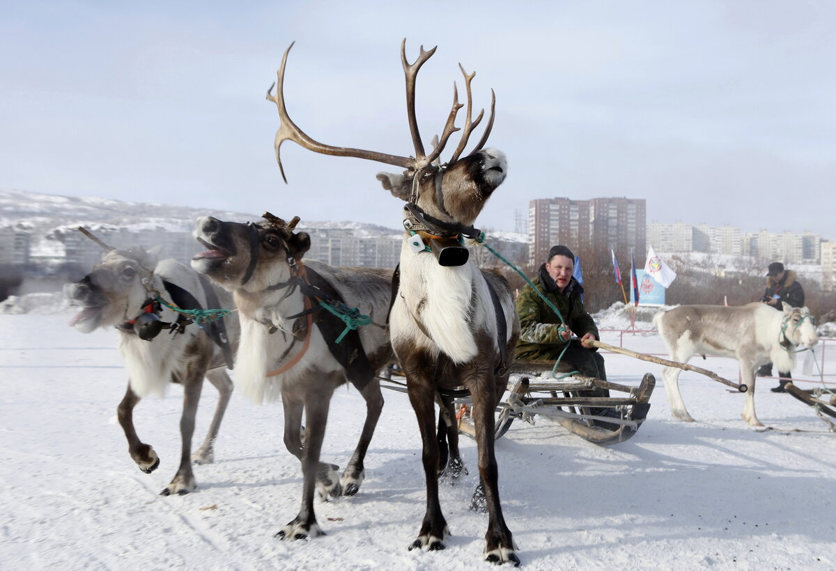 Фото: Андрей Пронин / GeoPhoto