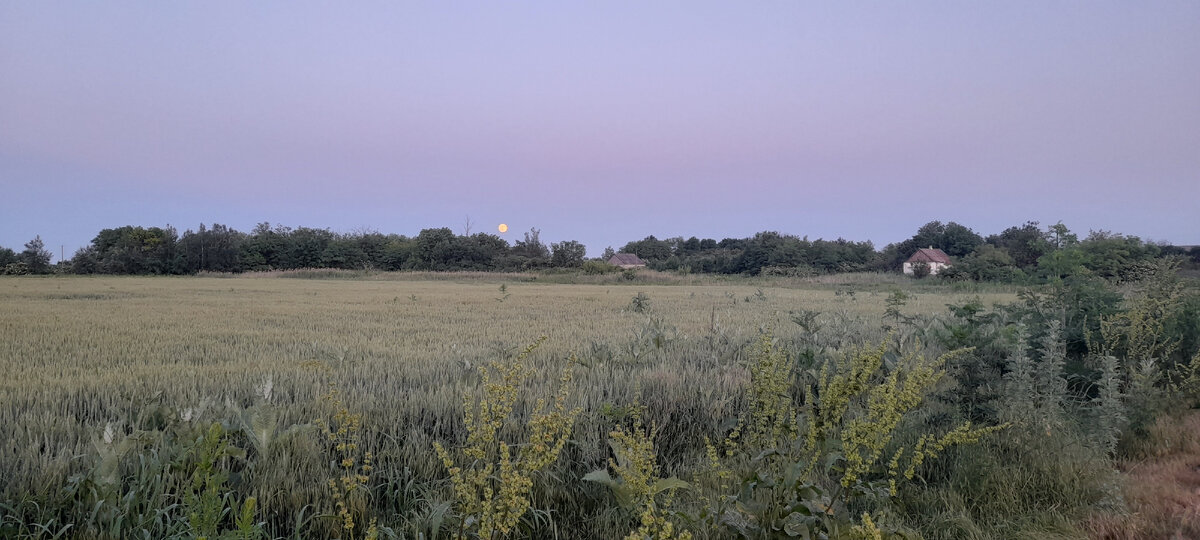 Сегодня 15.06.2023г 