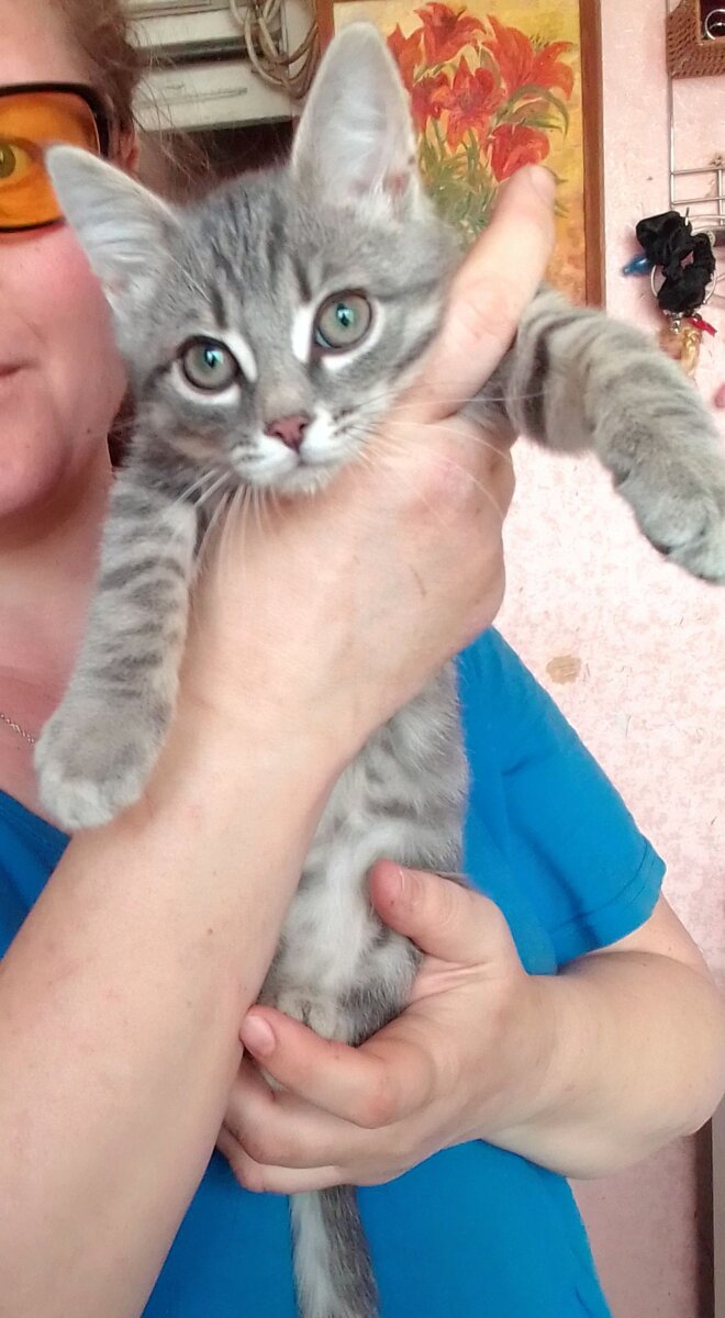 Коточеловечек