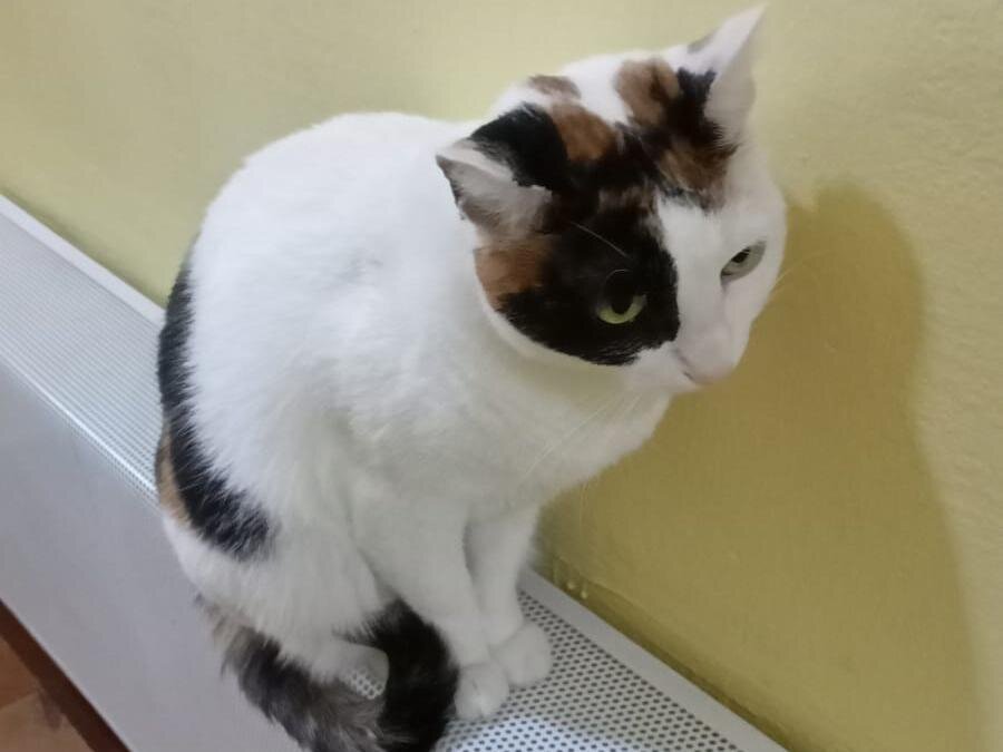 И вот таких у него ещё 39 штук.