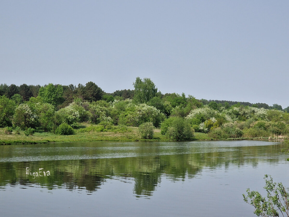 Все фото автора