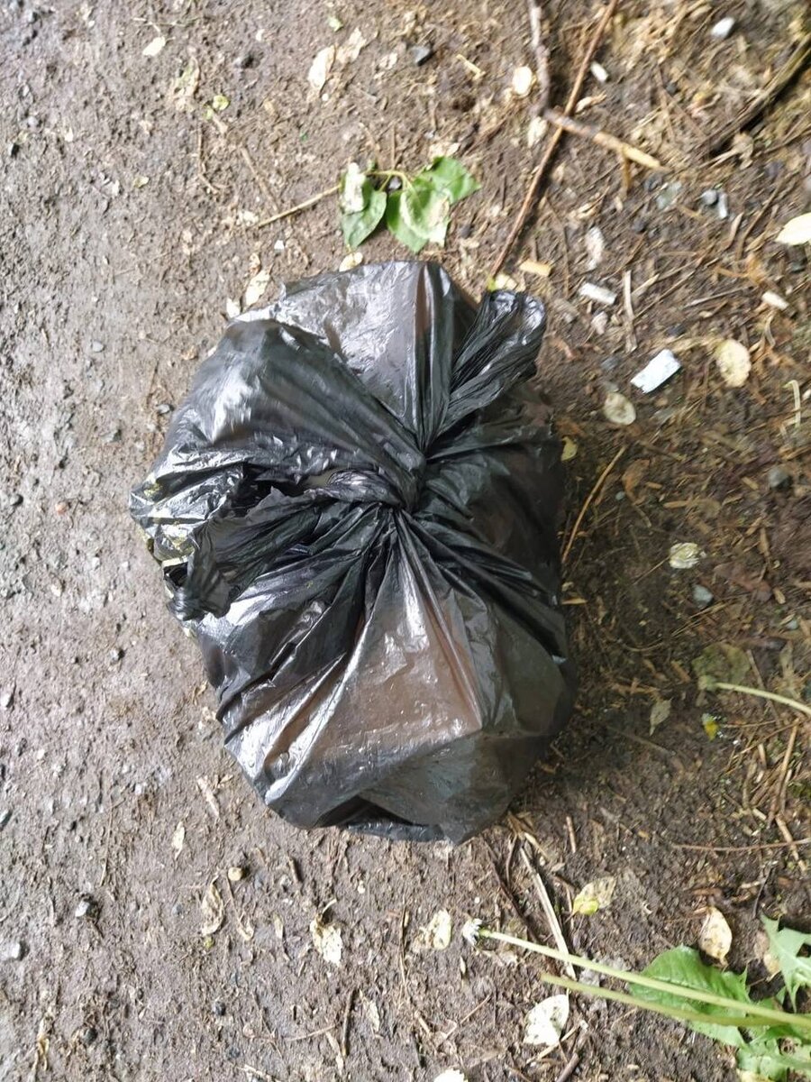 Сложно даже представить, что внутри такого мусорного пакета могут оказаться котята