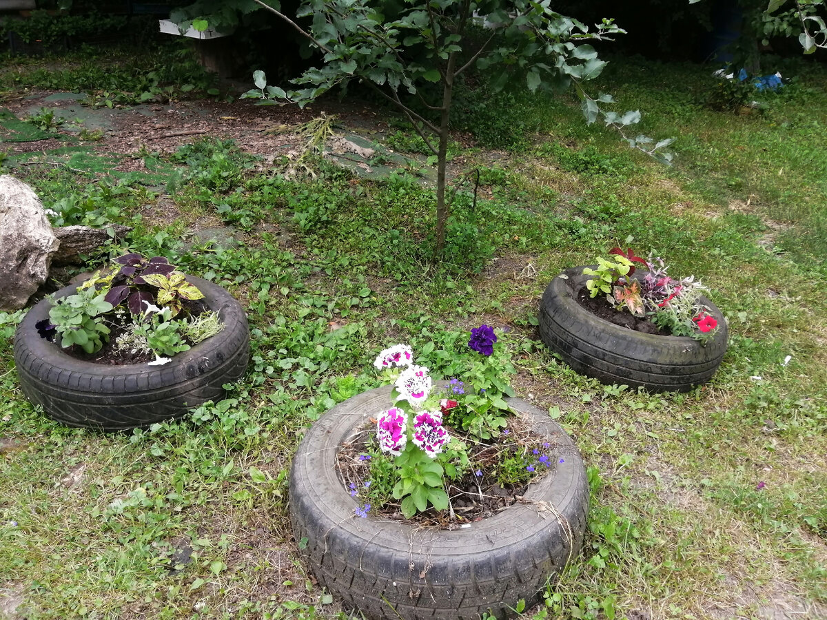 Дочкина клумба в центре