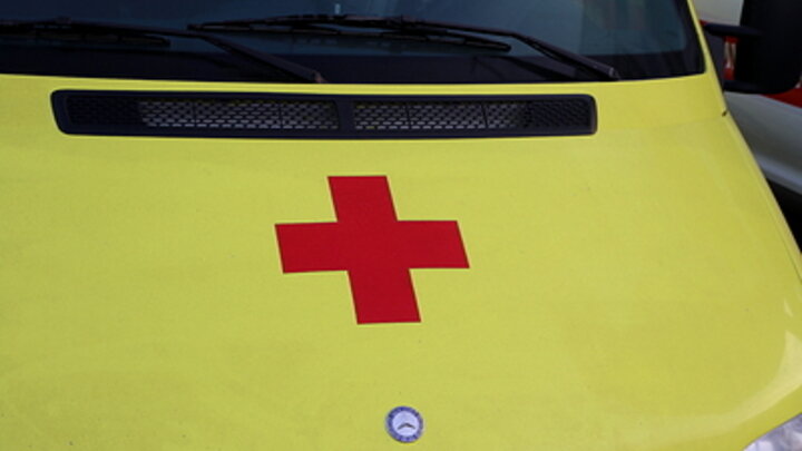 MAKSIM KONSTANTINOV/GLOBALLOOKPRESS