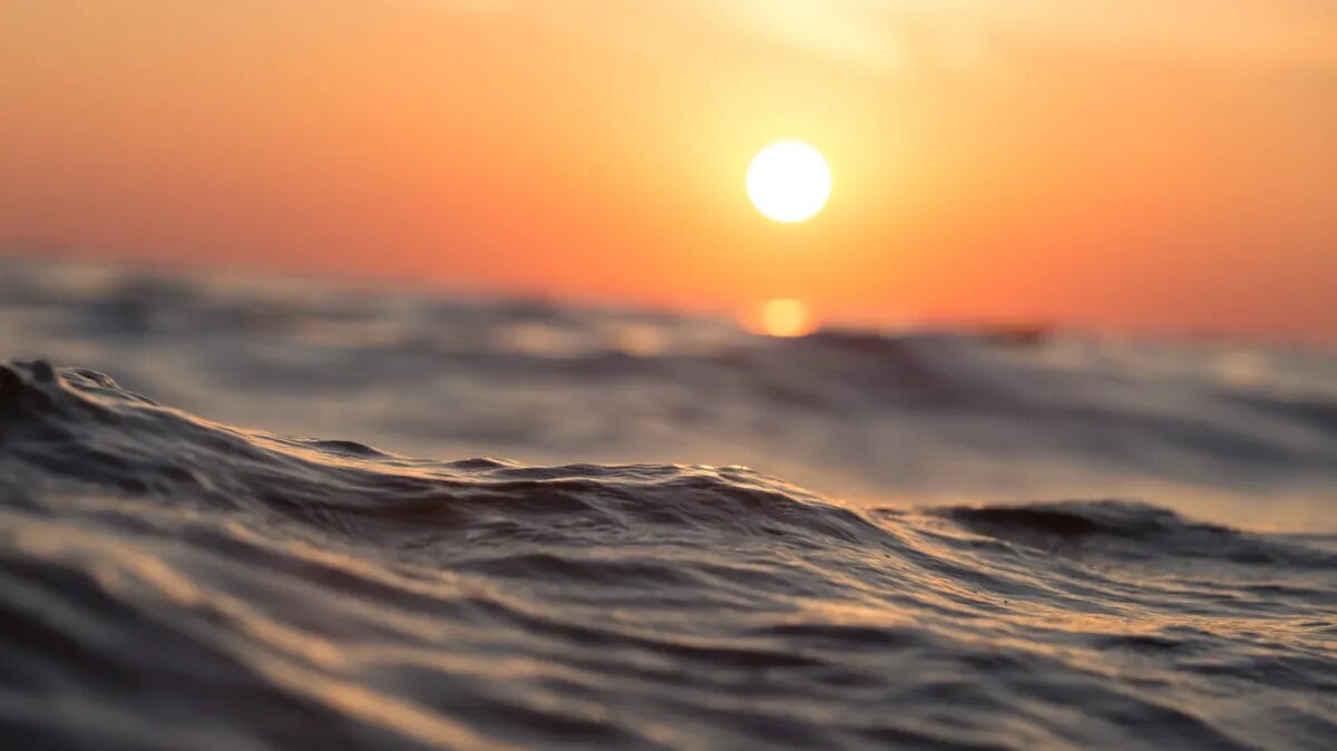 21 июня - День летнего солнцестояния. Фото: www.piqsels.com