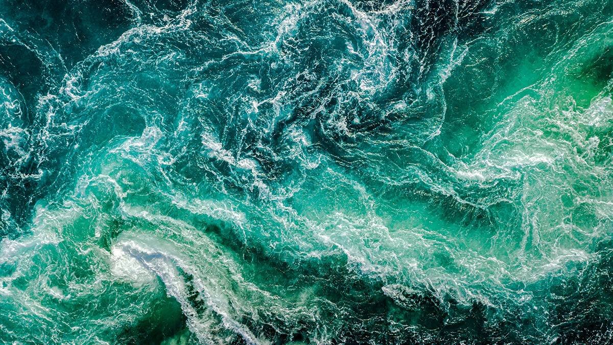    Фото: shutterstock