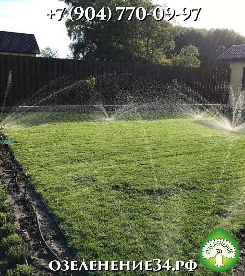 Автоматический автополив. Система дождевания для газона. Спринклер орошения газона. Автоматическая система полива. Автополив газона.