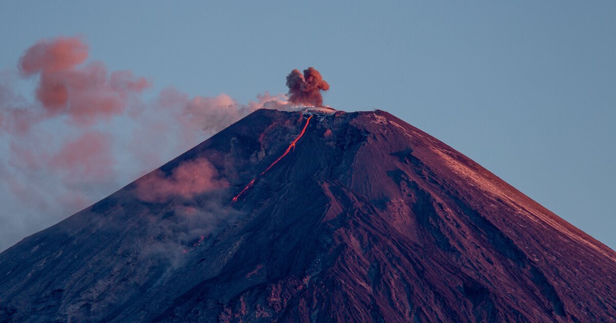 Источник фото Москва 24