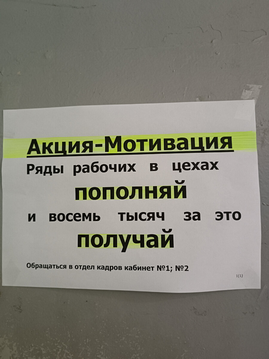 Все хотят быть блогерами , никто не хочет работать продавцом ))) | Давай  поговорим ☕ | Дзен