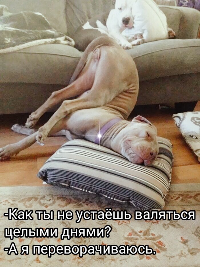 Фото из интернета в обработке автора. 