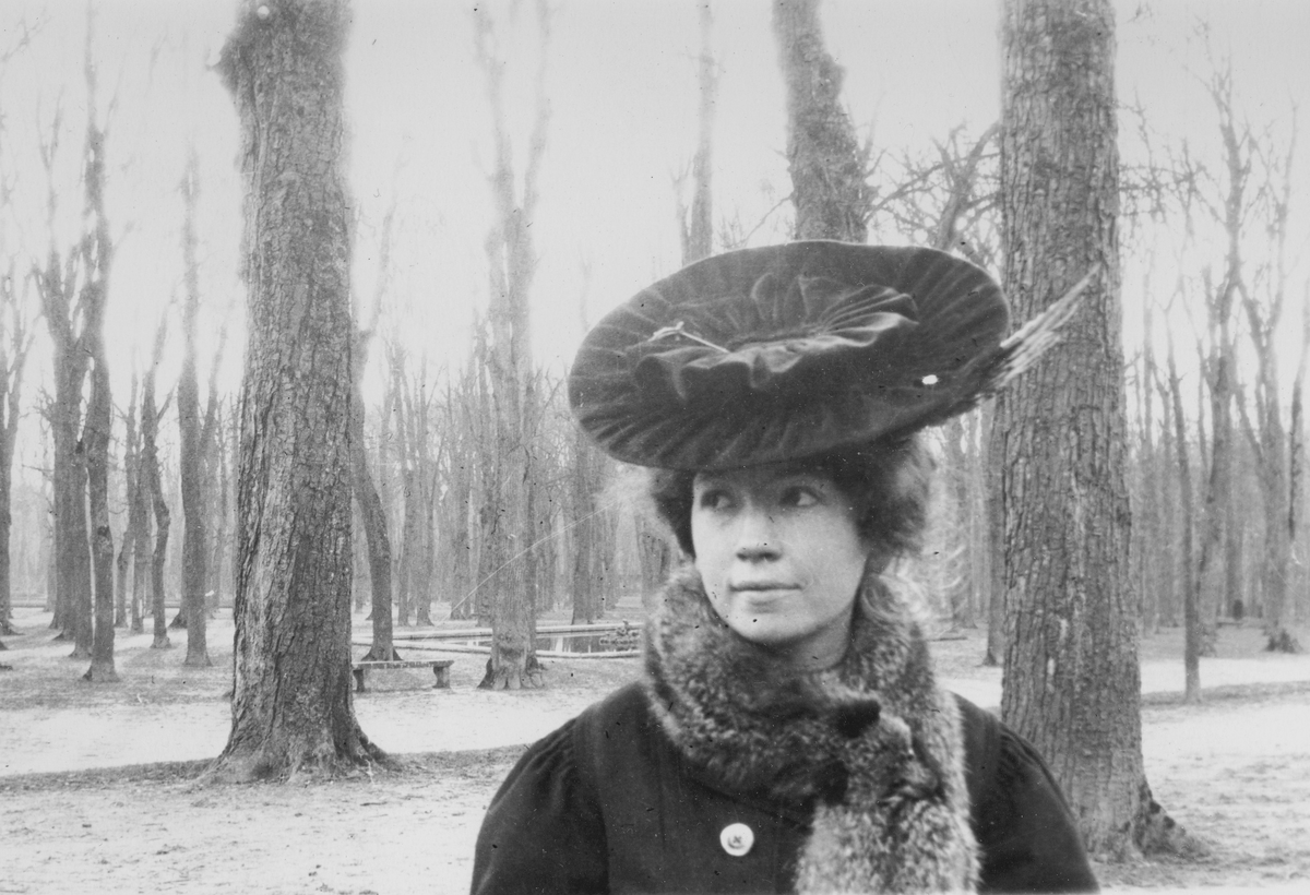 М.Сабашникова-Волошина. 