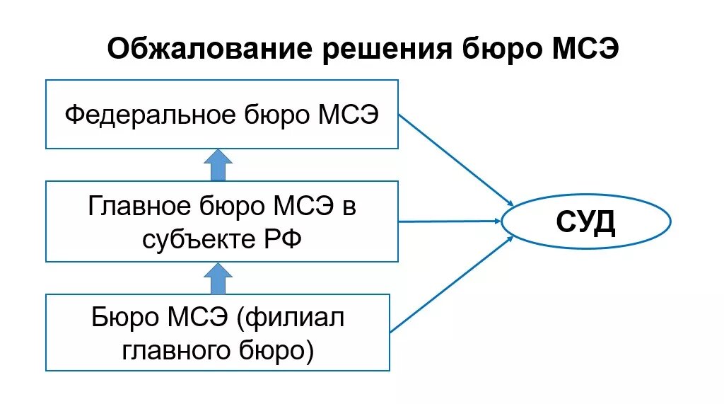 Образец заявления на обжалование решения мсэ в главное бюро