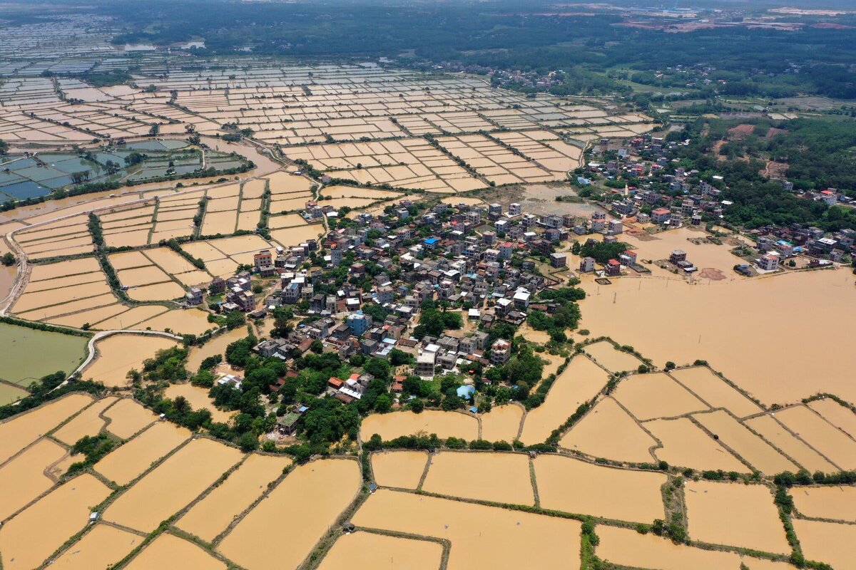 Продовольственный кризис в Китае