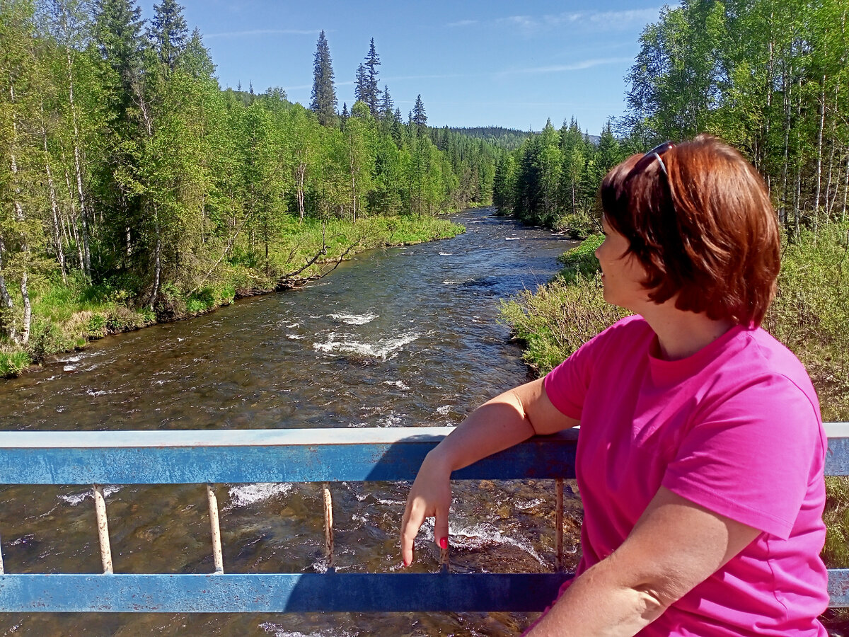 Таежные пейзажи завораживают