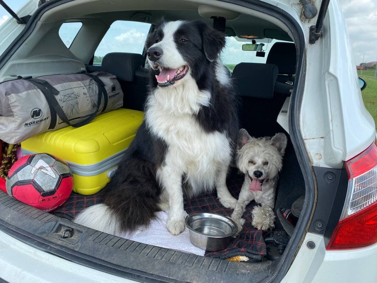 Поехали на край света