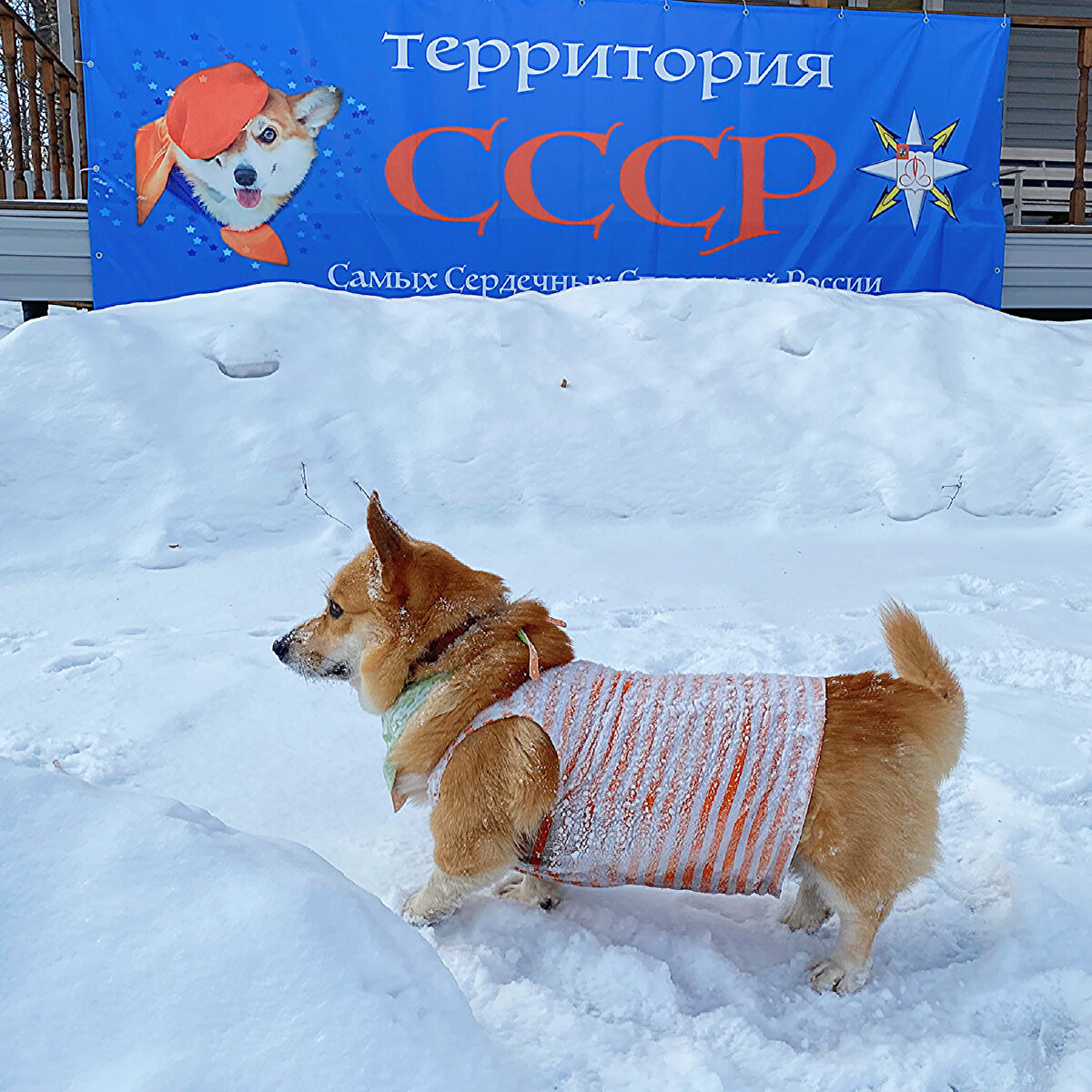 На территории СССР. Да, в Щёлково есть такая