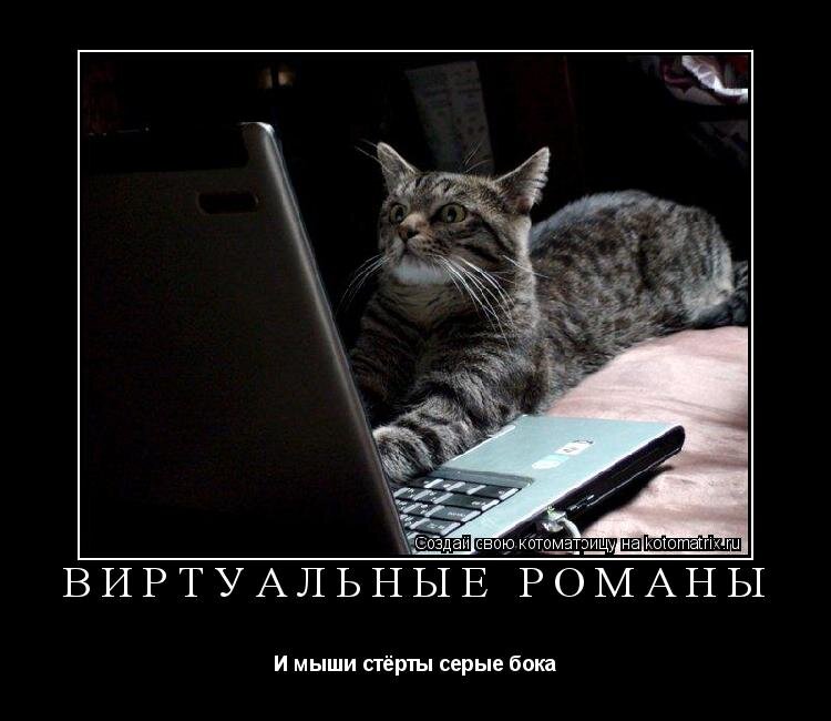 Фото из открытых источников интернета. http://kotomatrix.ru/show/409761/