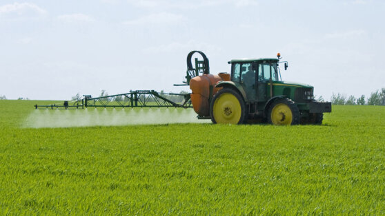    В России создали удобрение, способное ускорить рост сельхозкультур в 1,5 раза Татьяна Сидорова