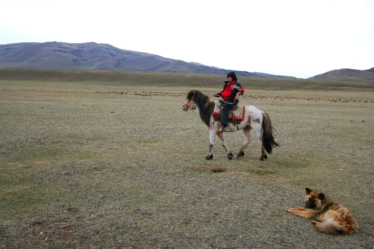 Айрат - молодой тувинский пастух в горах Танну-Ола
