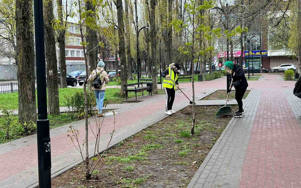 Ленинский район принял участие в марафоне чистоты | Горком36 | Воронеж