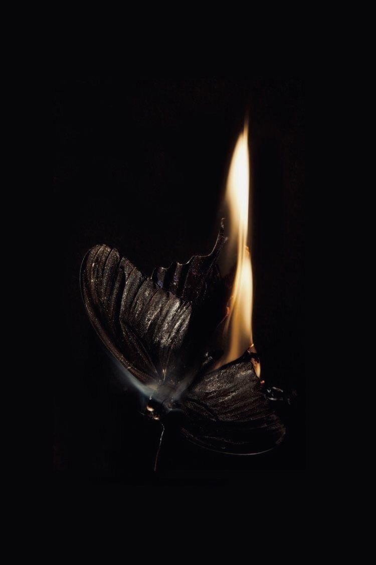 Фото с сайта: https://ru.pinterest.com/pin/834151162256233269/