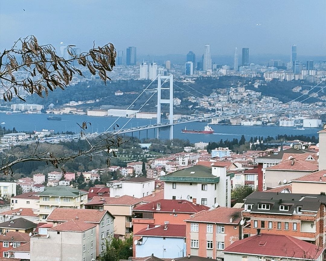 Вид на Стамбул и Босфор с высоты холма, где расположена самая  большая мечеть в Турции Camlica Camii