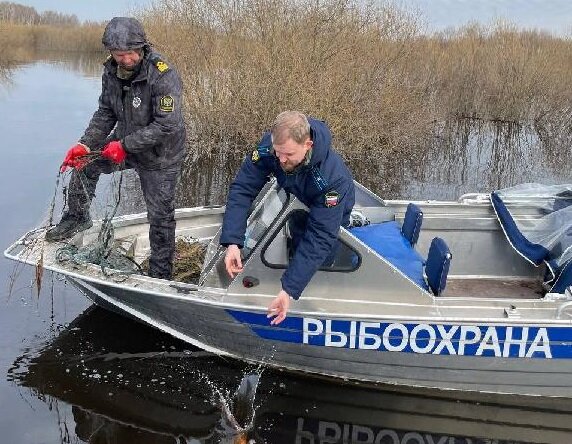    Специалисты также смогли вернуть в среду обитания более 60 рыб, угодивших в сети Анастасия Красушкина