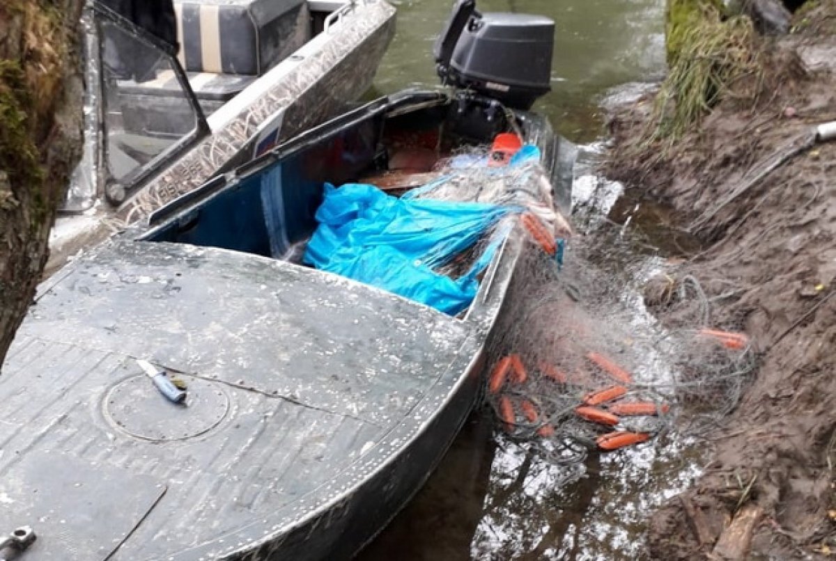    Камчатский браконьер заплатит 100 тысяч рублей за толчок рыбинспектора
