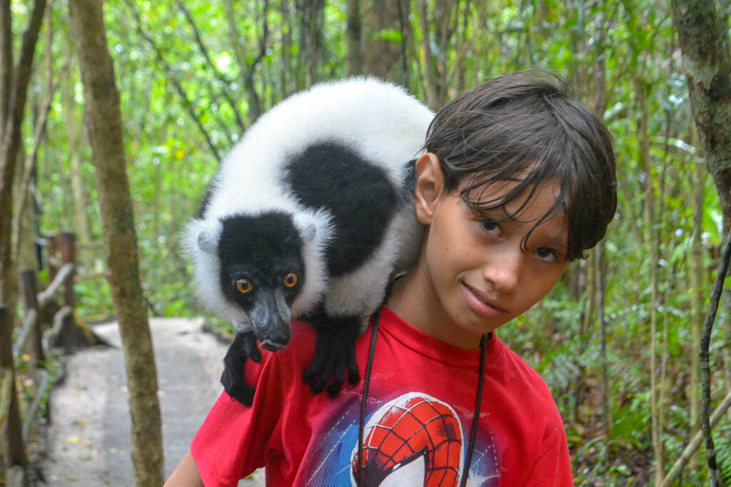 Это фото мы сделалы уже давно .Кто не знают  это лимур