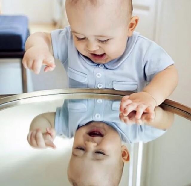 Фото взято из интернета 