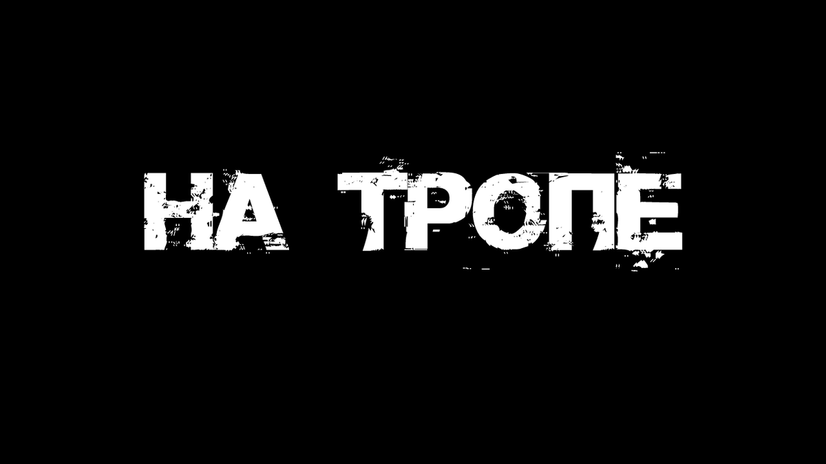 Не забудь подписаться, поставить лайк и написать в комментариях все, что думаешь об истории