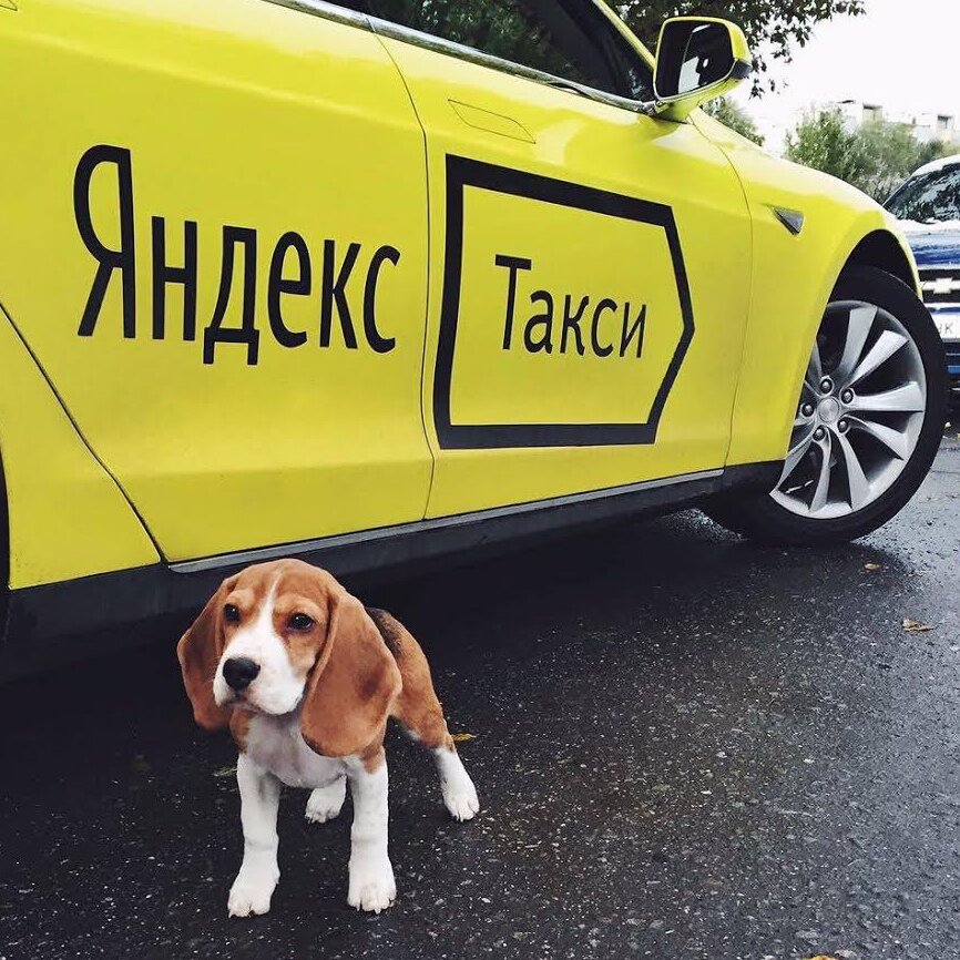 Яндекс Такси заказывали?