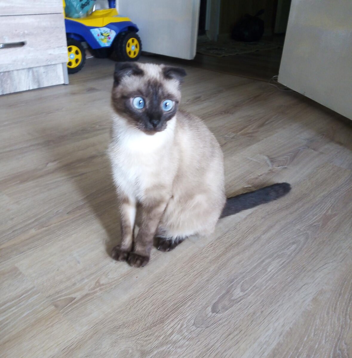 Личное фото. Даша.