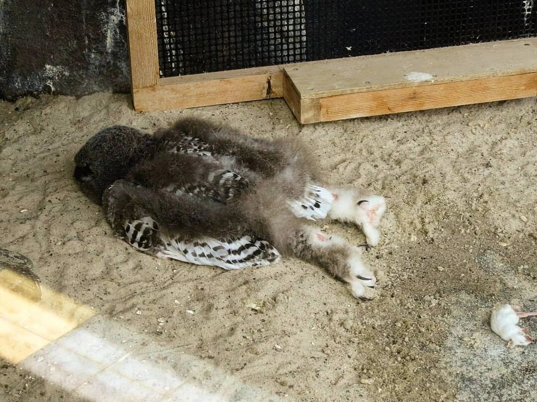 Картинка из Вконтакте 