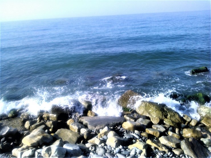 Фото из интернета