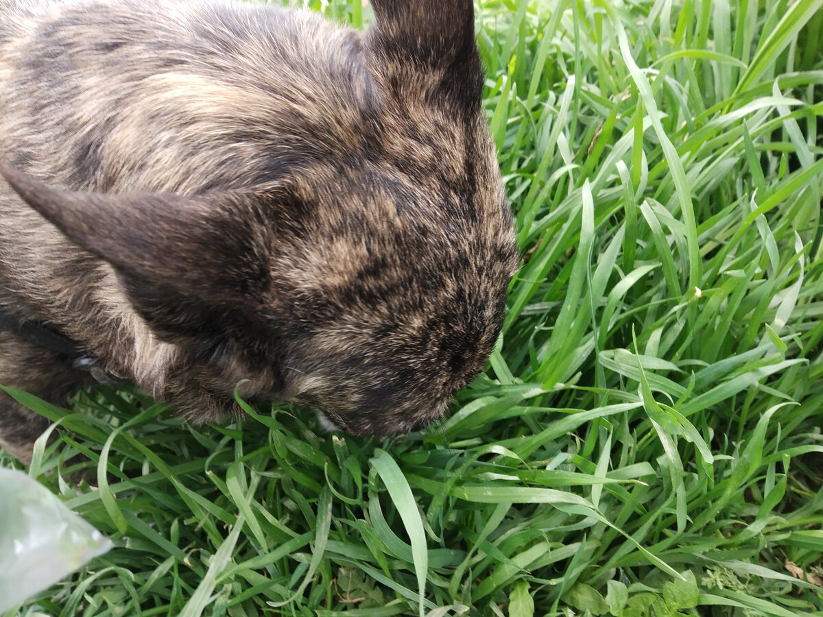 Фото автора публикации