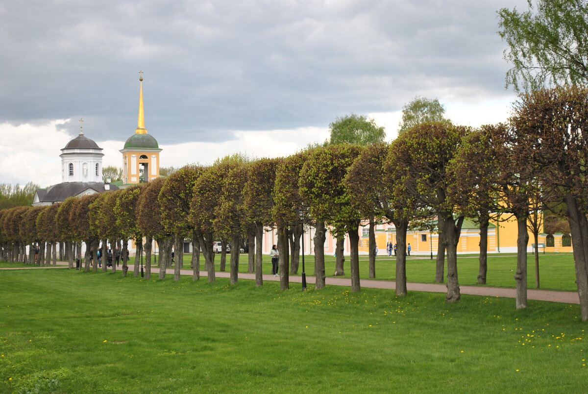 Липовая аллея от входа к Большому дворцу