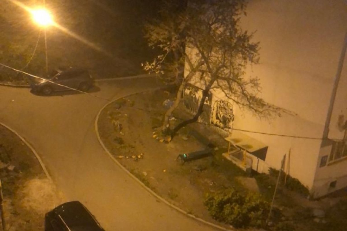    Во Владивостоке коптер врезался в жилой дом и не на шутку испугал жильцов