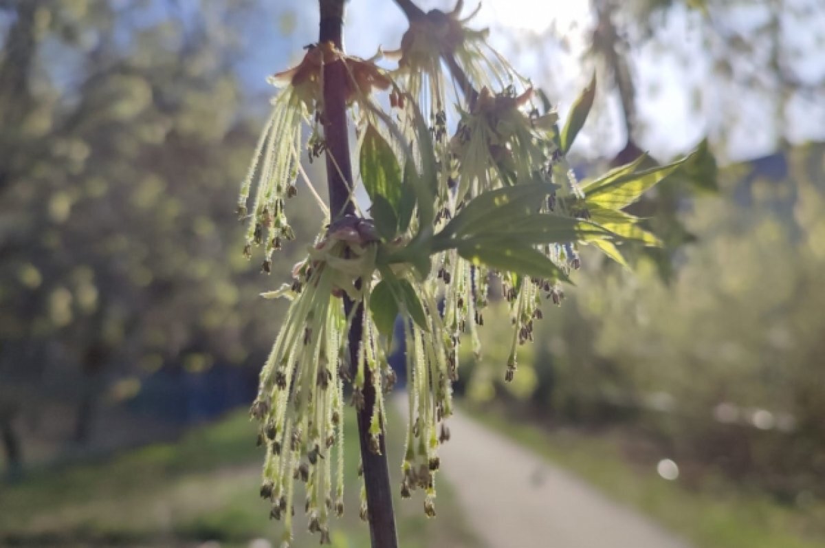    Циклон уходит с Камчатки, в выходные придёт долгожданная весна