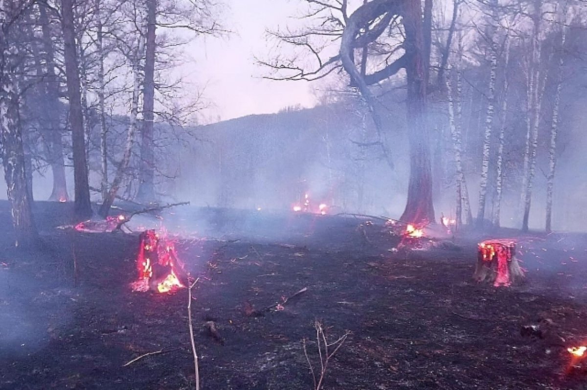    Ландшафтный пожар в Республике Алтай.