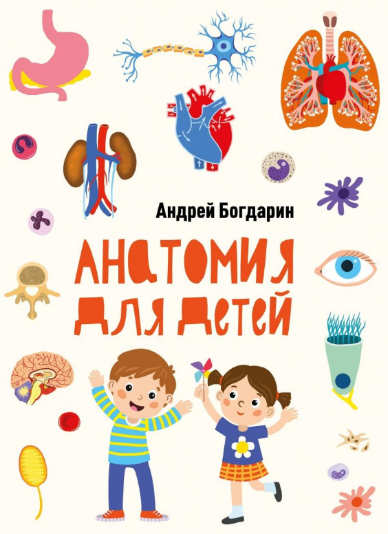 Андрей Богдарин. Анатомия для детей. Иллюстратор Ольга Московка. Издательство Стрекоза